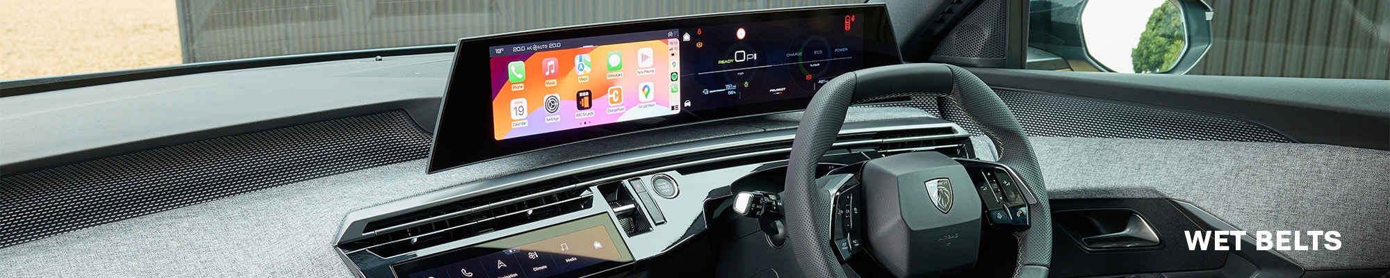 Wet Belt Diagnosis & Repair Specialists